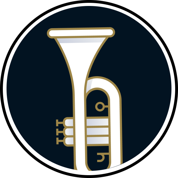 Bass Guitar